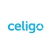 Celigo integrator.io