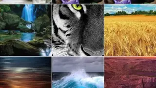 Cellsea screenshot