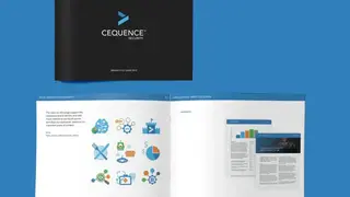 Cequence Security screenshot
