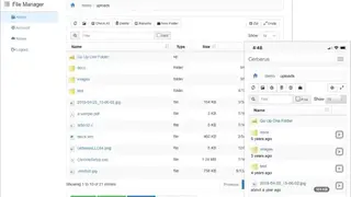 Cerberus FTP Server screenshot