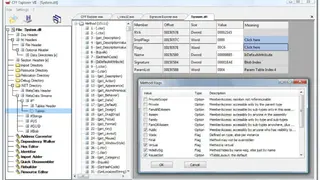 CFF Explorer Suite screenshot
