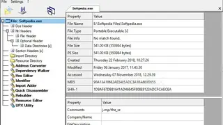 CFF Explorer Suite screenshot