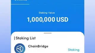 Chain Bridge Digital Wallet screenshot