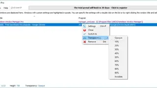 Chameleon Window Manager screenshot
