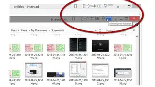 Chameleon Window Manager screenshot