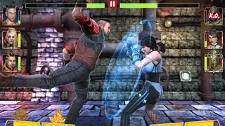 Champion Fight 3D screenshot
