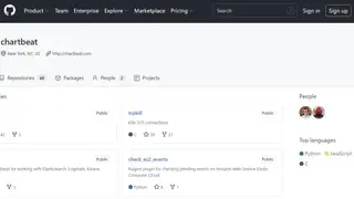 Chartbeat screenshot