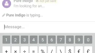 Chatra live chat software screenshot