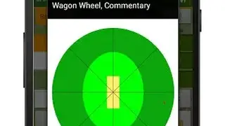 Chauka Cricket Scoring App screenshot