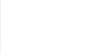 Checkbook Plus screenshot