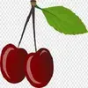 CherryTree