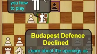 Chess Free screenshot