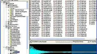 Chicken Systems Translator Pro screenshot
