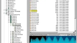 Chicken Systems Translator Pro screenshot