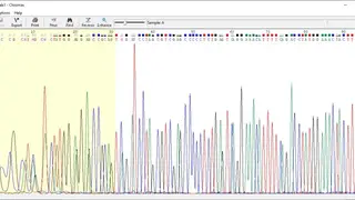 Chromas screenshot