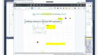 Chromium Embedded Framework screenshot