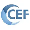 Chromium Embedded Framework