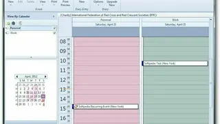 Chrysanth Diary screenshot