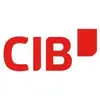 CIB pdf brewer