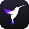 Cinemagraph Pro