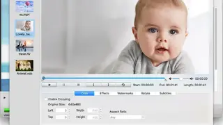 Cisdem DVD Burner screenshot
