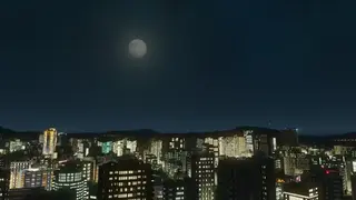 Cities: Skylines screenshot