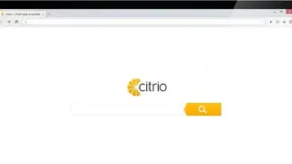 Citrio Browser screenshot