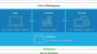 Citrix Workspace screenshot