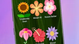 Classical Ringtones screenshot