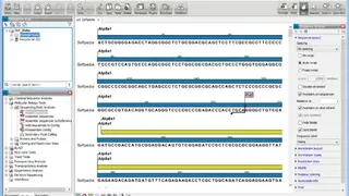 CLC Main Workbench screenshot