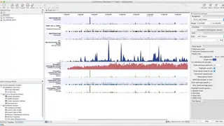 CLC Main Workbench screenshot