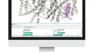 CLC Main Workbench screenshot