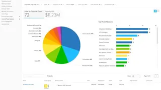 ClientSuccess screenshot