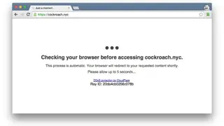 Cloudflare DDoS Protection screenshot