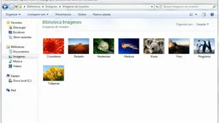 Clover 3 screenshot