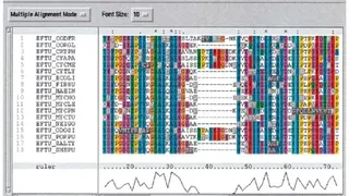 Clustal X screenshot