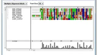 Clustal X screenshot