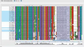 Clustal X screenshot