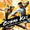 Cobra Kai: The Karate Kid Saga Continues