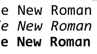 Code New Roman screenshot