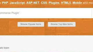 CodeCanyon screenshot