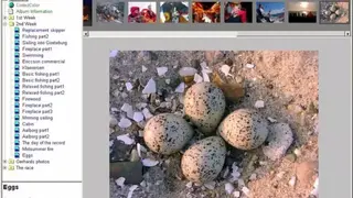 CodedColor PhotoStudio screenshot