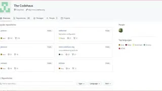 Codehaus screenshot