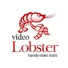 CodeLobster IDE