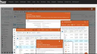 CodeOnTime screenshot