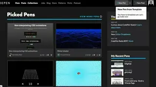 Codepen screenshot