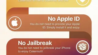 CokerNutX screenshot