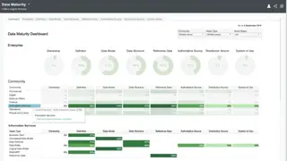 Collibra Governance screenshot