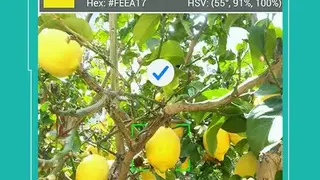 Color Grab screenshot