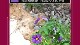 Color Grab screenshot